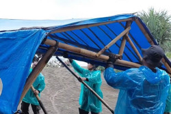 Pemkab Bantul Bongkar Lapak Ilegal di Selatan Paving Parangtritis