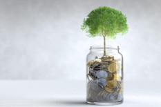 Pemkab Tunggu Investor China Bangun Pabrik Gaplek di Semin