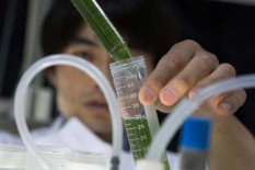 'Koneksi' Dorong Ketahanan DIY Lewat Riset Iklim & Energi