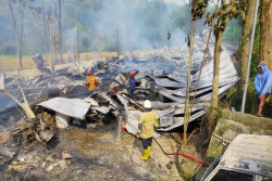 12.000 Ayam Mati Terpanggang dalam Kebakaran Kandang