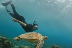 Air Jernih Pantai Nipah Jadi Surga Snorkeling di Lombok Barat