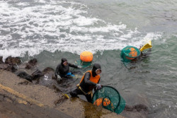 Haenyeo Jeju Jadi Daya Tarik Wisata Dunia, Kini Krisis Regenerasi