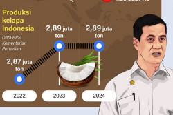 Ekspor Kelapa Indonesia Melesat