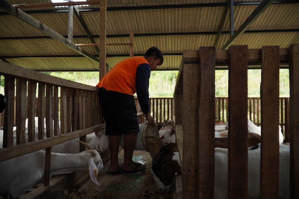Lumbung Mataraman Dipacu demi Ketahanan Pangan