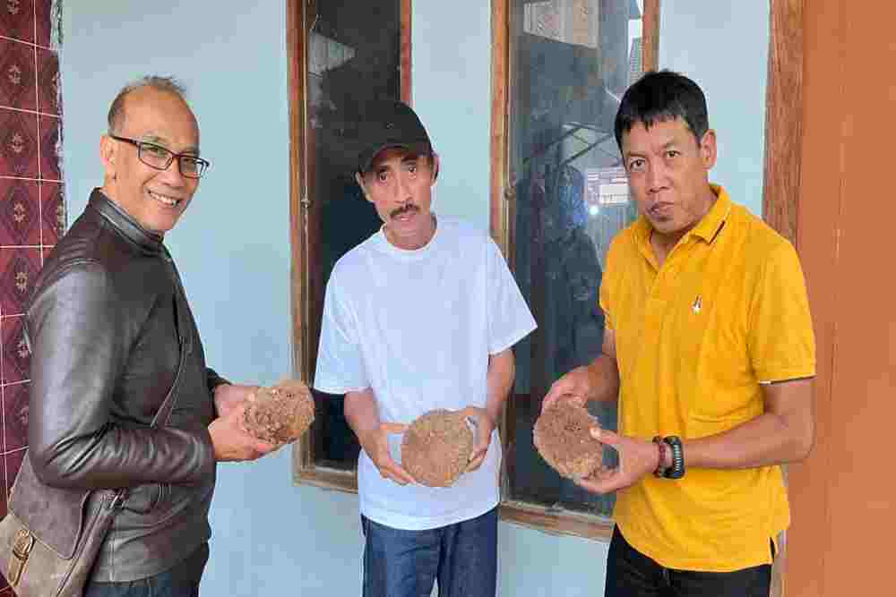 Optimalisasi Budidaya dan Distribusi Porang di Karangtengah, Wonogiri