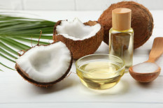 Kulonprogo Genjot Produksi Lewat Tanam Kelapa Genjah