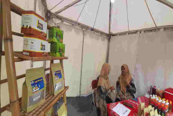 Bantul Dorong Jamu dan Pengobatan Tradisional Jadi Gaya Hidup