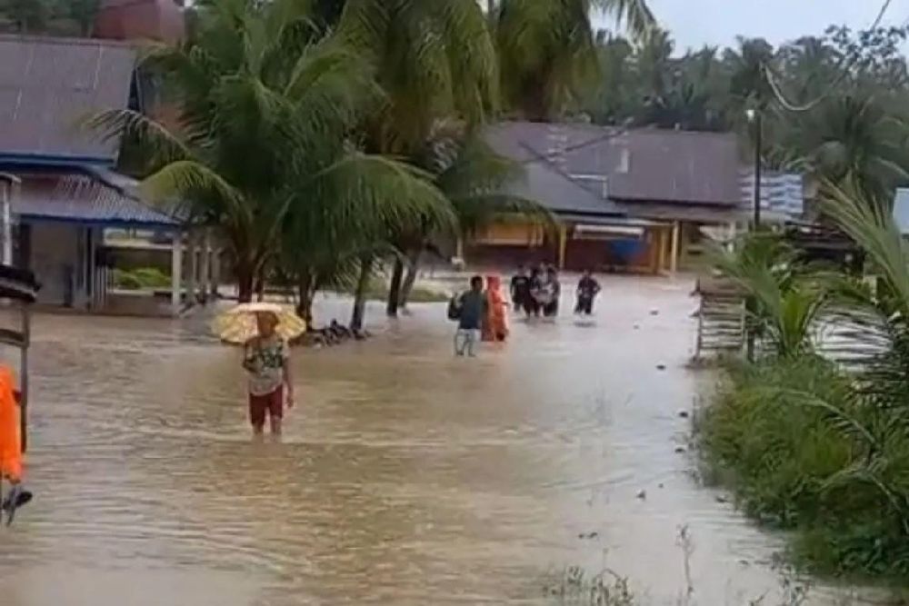 Banjir Bandang Rendam Ratusan Hektare Lahan di Solok Sumbar