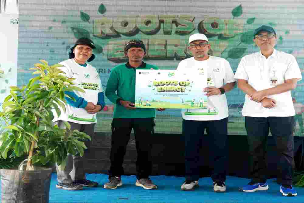 Tanam 600 Pohon Alpukat di Hulu DAS Tuntang, Wujud Kepedulian PLN