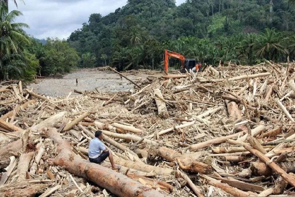 Kemenhut Telusuri Sumber Kayu Banjir Sumatera