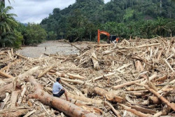 Kemenhut Telusuri Sumber Kayu Banjir Sumatera