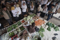 Harga Cabai Rawit Merah di Gunungkidul Tembus Rp80 Ribu per Kg