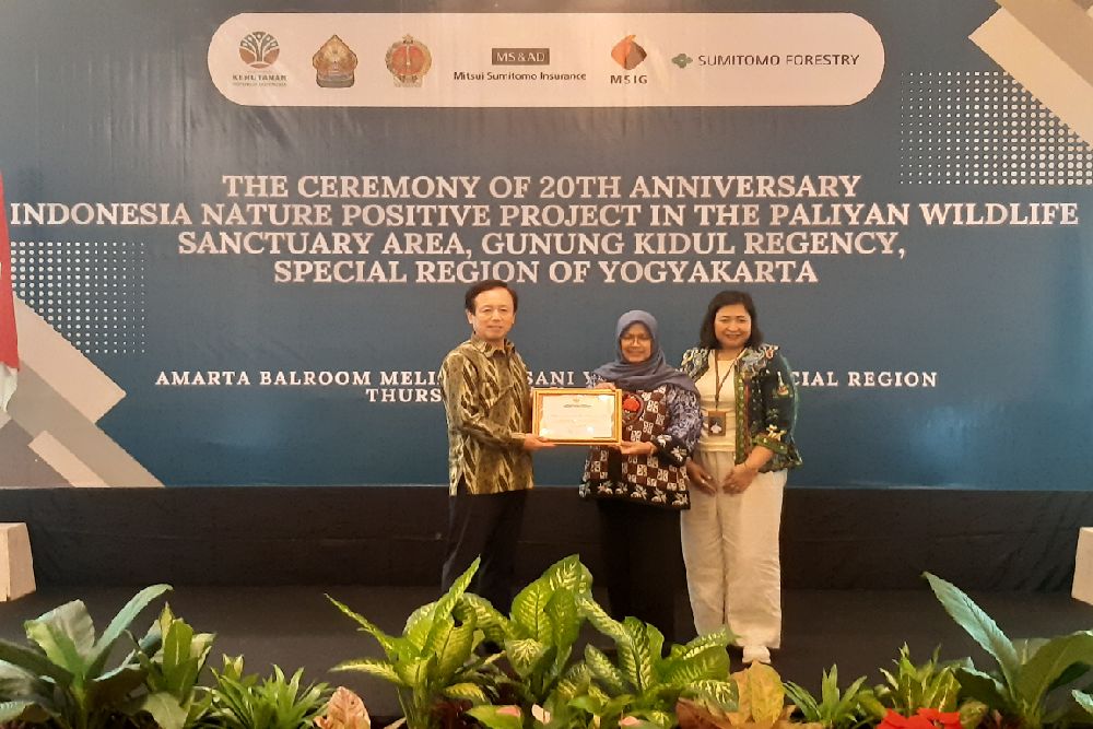 Dua Dekade Pemulihan Paliyan, Hutan di Gunungkidul DIY Kembali Lebat