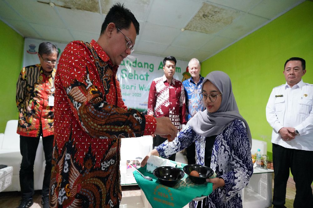 BUMKal Pandansari Wukirsari Sleman Hadirkan Kandang Ayam Telur Sehat