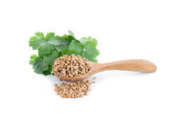 Manfaat Ketumbar untuk Turunkan Berat Badan Menurut Penelitian