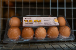 Mahasiswa UNY Kembangkan Inovasi Telur Omega-3 Berbasis IoT