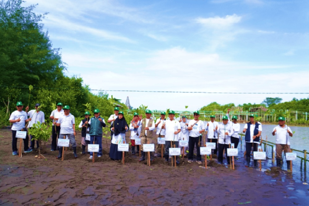 BPR Syariah BDW Tanam 750 Bibit Mangrove di Kulon Progo