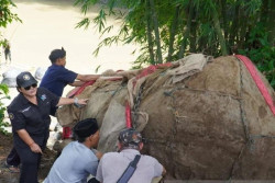 Terancam Banjir, Prasasti Muara Cianten Direlokasi