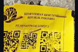 Polda Lampung Telusuri Kayu Misterius di Pesisir Barat