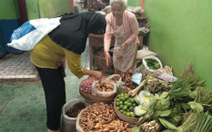 Potensi Empon-empon Kulonprogo Dipacu Lewat Usaha KUPS