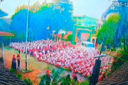 Minibus MBG Tabrak Puluhan Siswa SDN Kalibaru, 20 Korban Dirawat