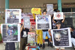 AFJ Desak Regulasi Larangan Perdagangan Monyet Ekor Panjang