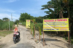 Protes Jalan Ambles, Warga Desa Jagoan Boyolali Tanam Pisang