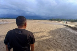 Petani Pidie Jaya Minta Sawah Dipulihkan Pascabanjir