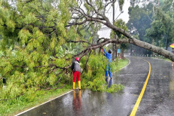 Angin Kencang Terjang Sleman, Akses Jalan Terganggu