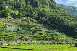 Akses Jembatan Bambu, Wisata Srikeminut Bantul Dibuka Lagi