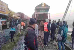 Tujuh Gajah Tewas di India, Kereta Ekspres Anjlok