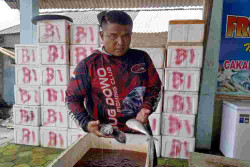 Permintaan Nataru Naik, Harga Ikan di Pantai Depok Merangkak