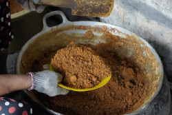 Reforma Agraria Dorong Kemandirian Ekonomi Desa Hargorejo