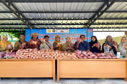 Jelang Nataru, Cabai Murah Dijual di Dispertapang Kulonprogo