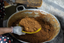 Reforma Agraria Dongkrak Usaha Gula Semut Warga Menoreh