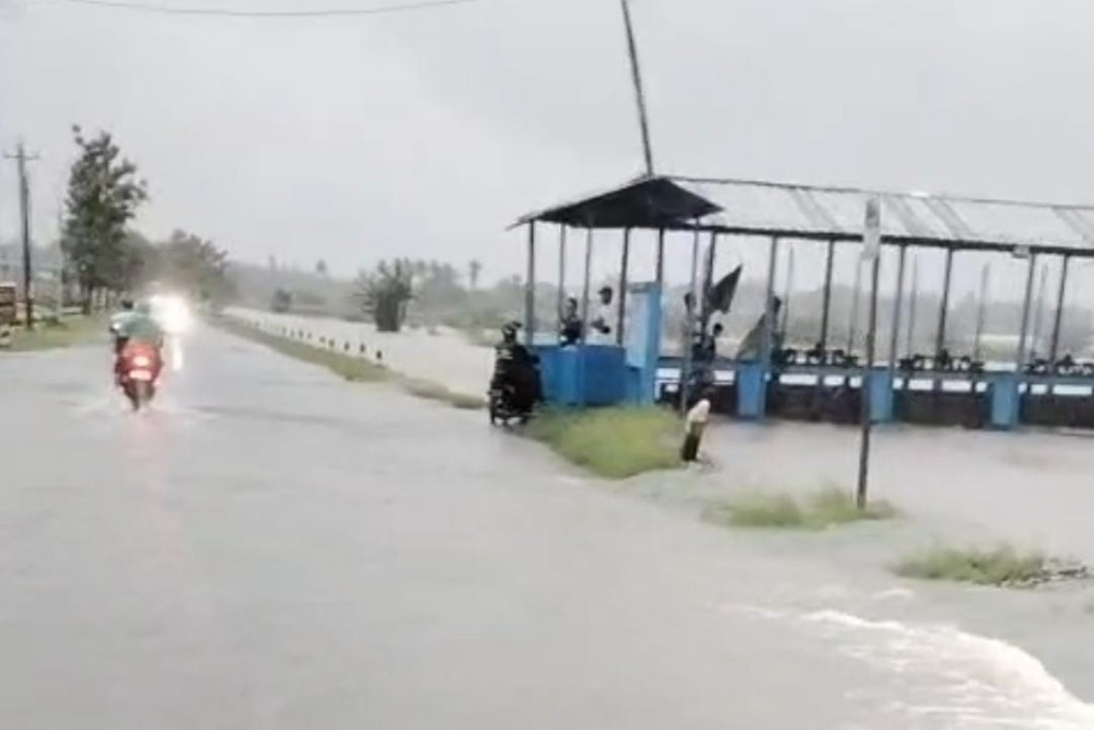 Hujan Deras Rendam Ribuan Hektare Padi Bantul