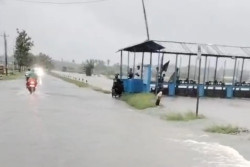 Hujan Deras Rendam Ribuan Hektare Padi Bantul