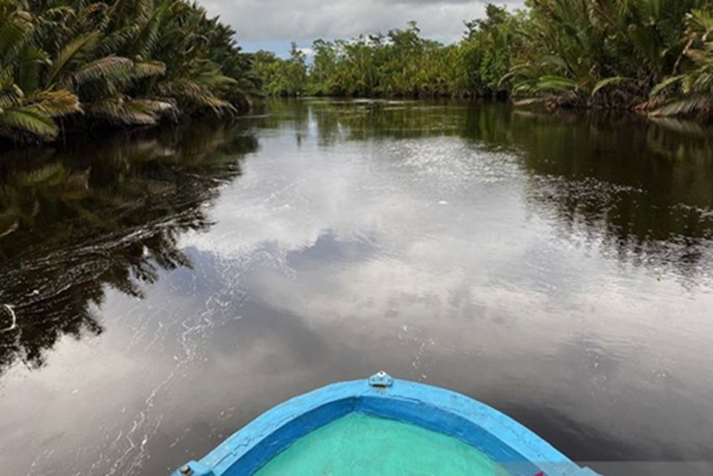 Menyusuri Sungai Sekonyer, Gerbang Wisata Orang Utan Tanjung Puting