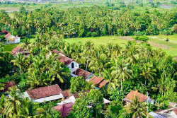 Reforma Agraria Dorong Gula Semut Hargorejo Tembus Ekspor