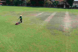 Lapangan Karang Kotagede Ditutup 6 Bulan, Rumput Rusak Parah