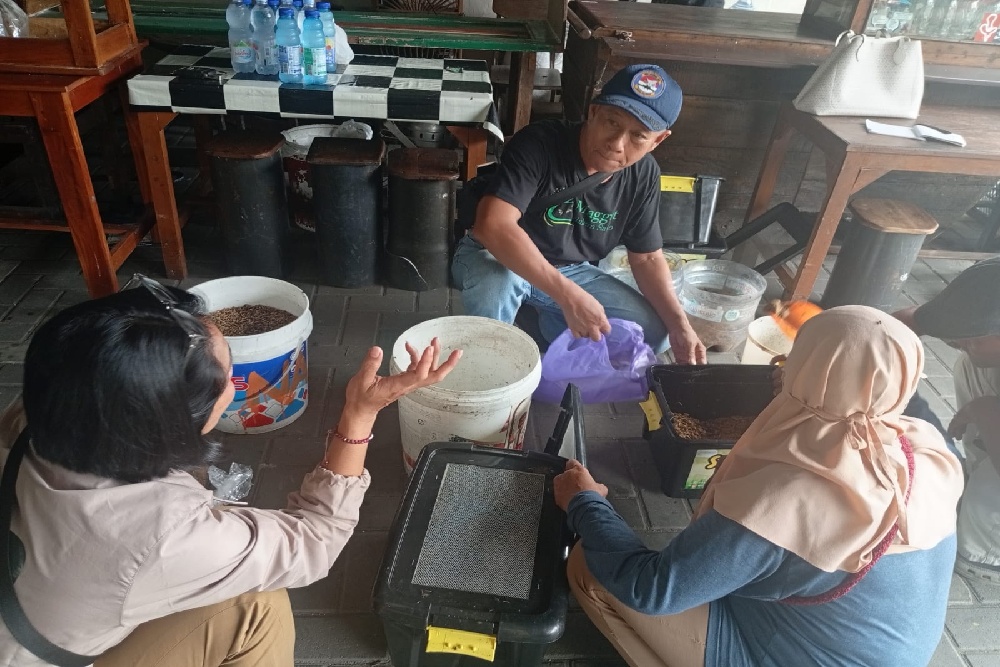 Panen Maggot Jogoyudan Jogja, Sampah Berkurang Pendapatan Naik