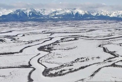Trump Diduga Siapkan Rencana Invasi ke Greenland, Denmark Geram