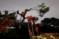 Jadwal Pemadaman Listrik Sleman, Jogja, Bantul Selasa 13 Januari