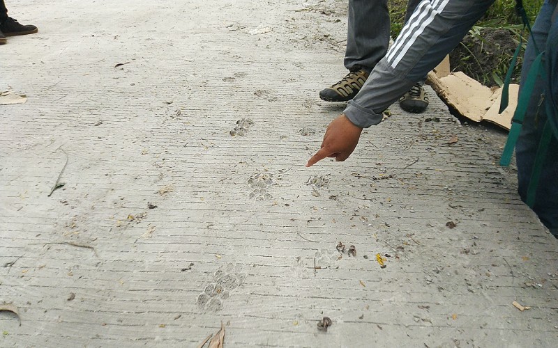 Top Ten News Harianjogja.com Selasa 13 Januari 2026