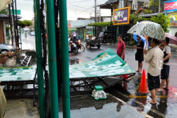 Cuaca Ekstrem Rusak 5 Wilayah DIY, Pohon Tumbang Paling Banyak
