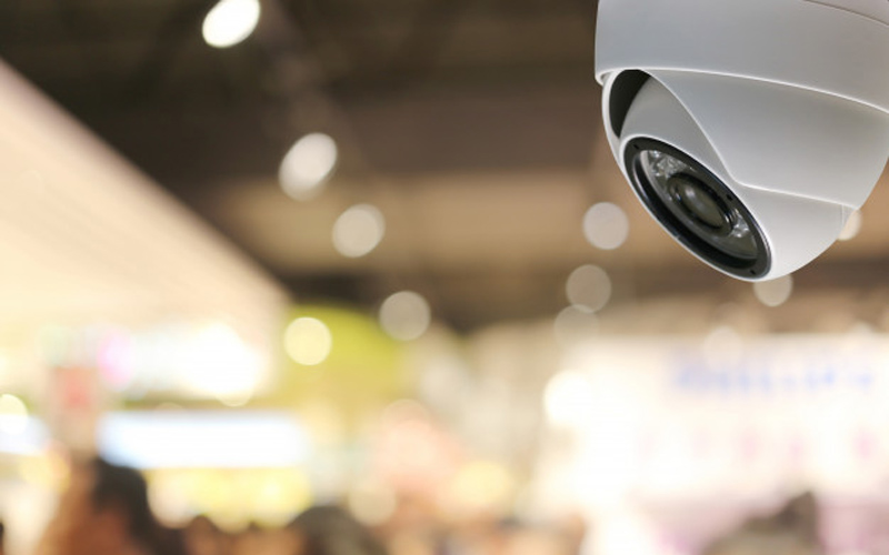 Murai Batu Rp150 Juta di Pleret Bantul Dicuri, Aksi Terekam CCTV