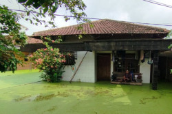 Banjir Rendam 25 Desa di Kudus, Lebih 48 Ribu Warga Terdampak