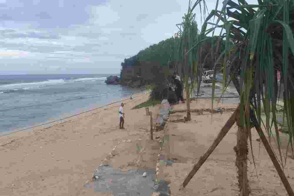 Pantai Sepanjang Ditata, Pandan Laut hingga Cemara Ditanam