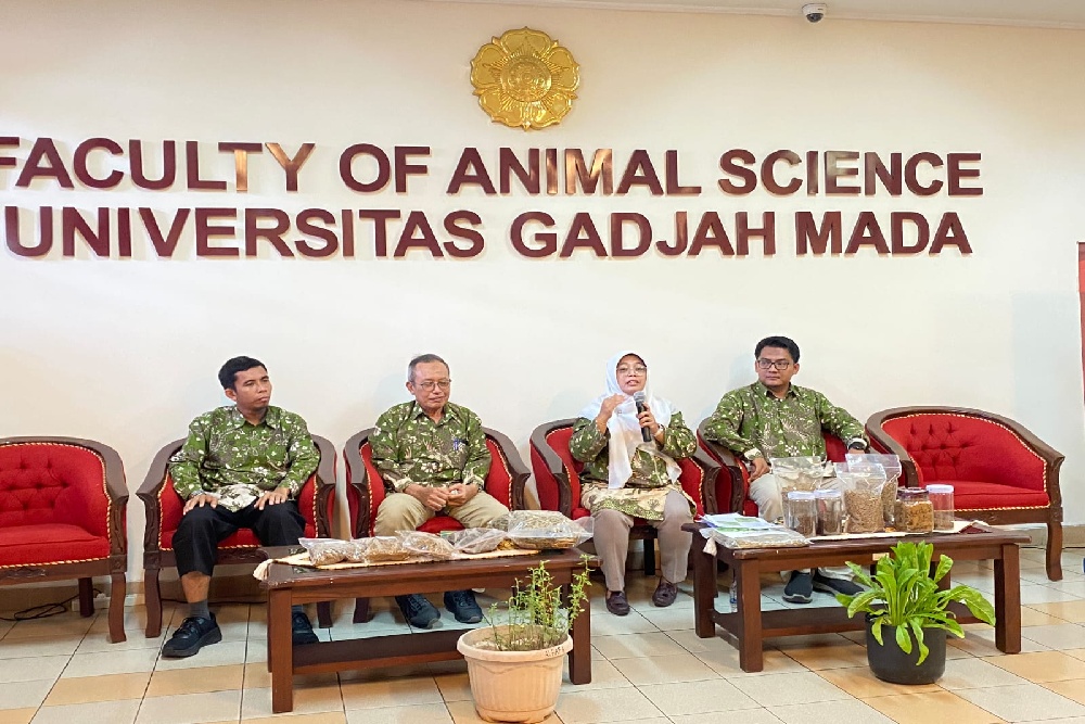 UGM: Harga Pakan Berpotensi Naik akibat Geopolitik Global