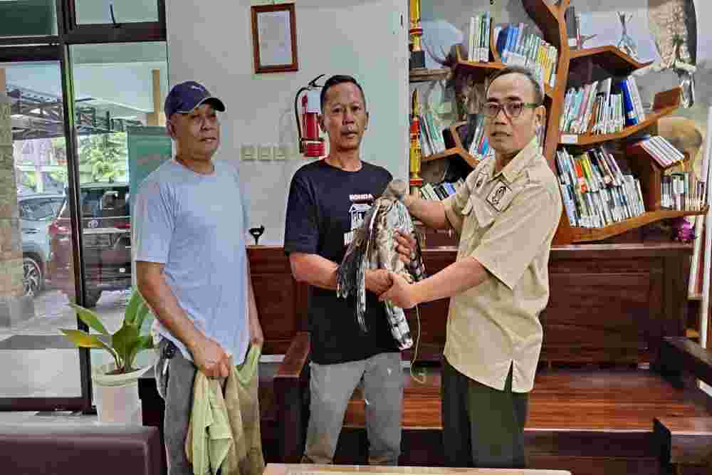 Sadar Konservasi, Warga Ngemplak Serahkan Elang Jawa ke BKSDA